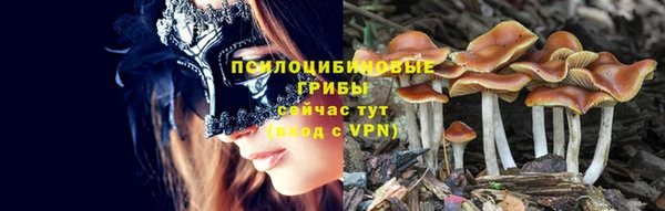кокс Волосово