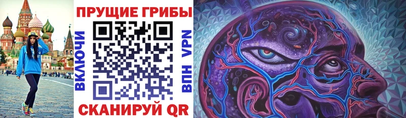 блэк спрут ССЫЛКА  Южно-Сухокумск  Галлюциногенные грибы мицелий 